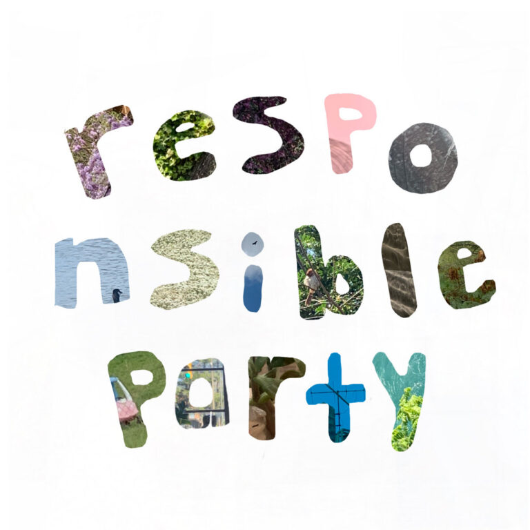 What Does Responsible Party Mean