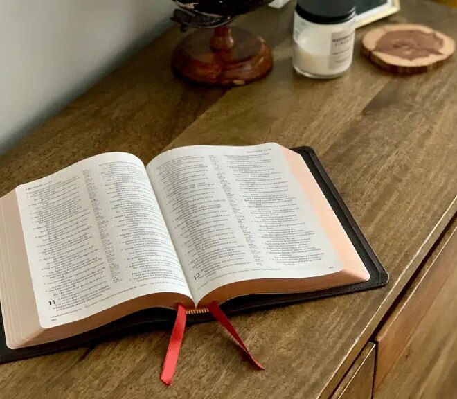 What Does Revilers Mean In The Bible