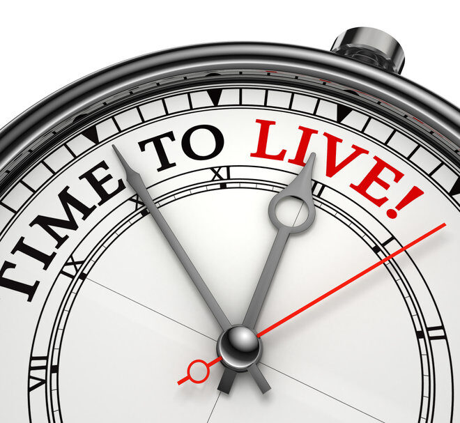 What Does Ttl Mean In Cars