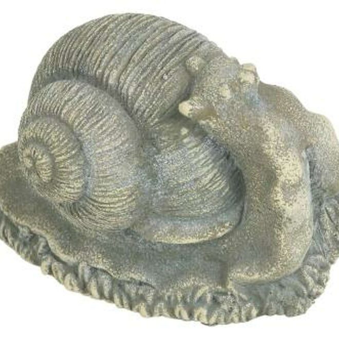 What Does High Salt Mean On A Salt Cell