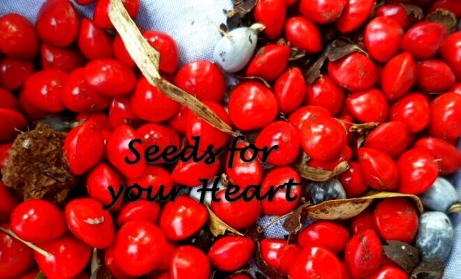 What Does Follow Your Heart Mean