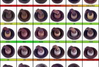 What Does It Mean When A Spark Plug Is Black