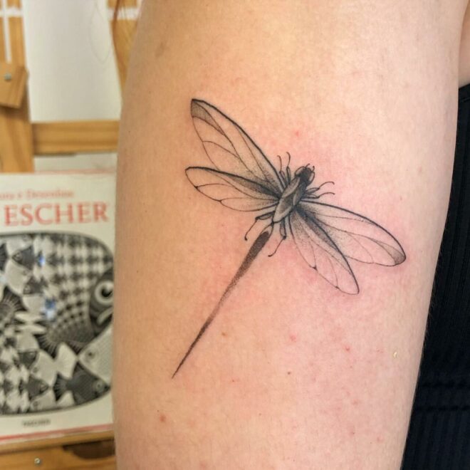 What Does A Dragonfly Tattoo Mean