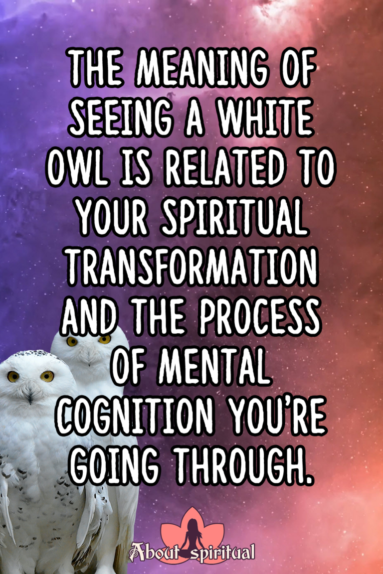 What Does Seeing A White Owl Mean
