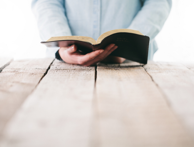 What Does The Word Gentleness Mean In Greek