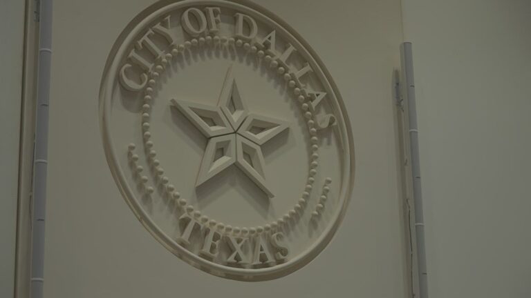 What Does Mayor Pro Tem Mean