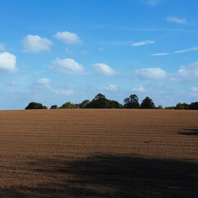 What Does Unimproved Land Mean