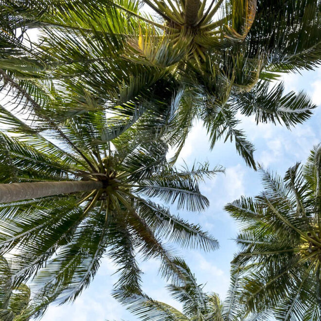 What Does It Mean To Commute Your Pension