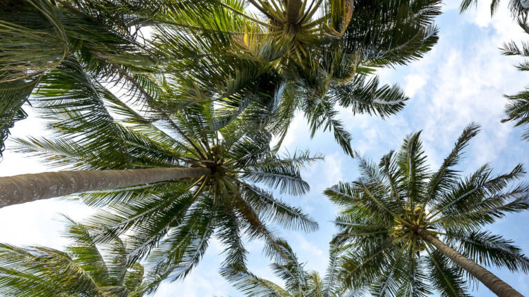 What Does It Mean To Commute Your Pension