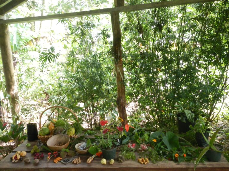 What Does Preservation Of Dominican Values Mean