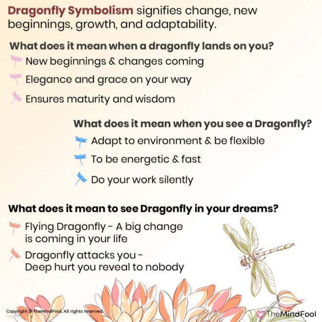 What Is The Meaning Of A Dragonfly