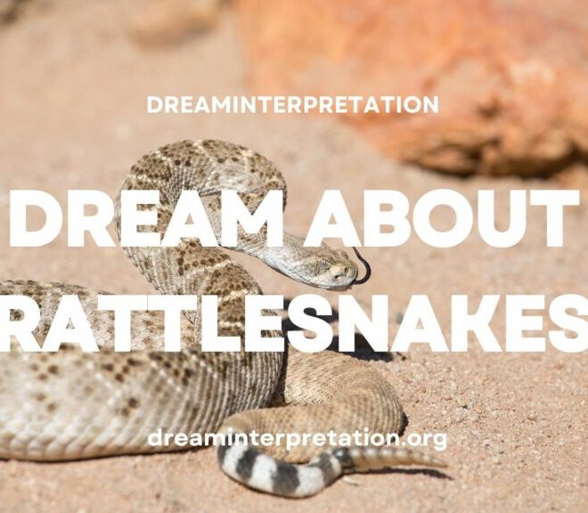 What Does It Mean To Dream Of Rattlesnakes