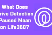 What Does Risky Drive On Life360 Mean