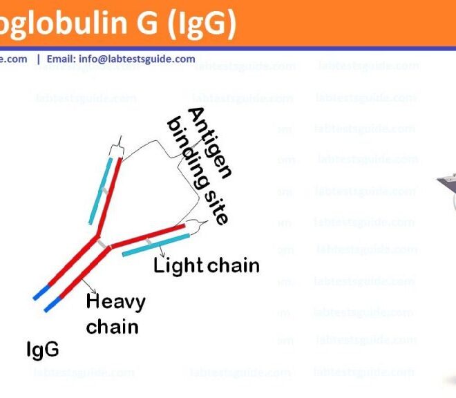 What Does Igg Mean In Texting