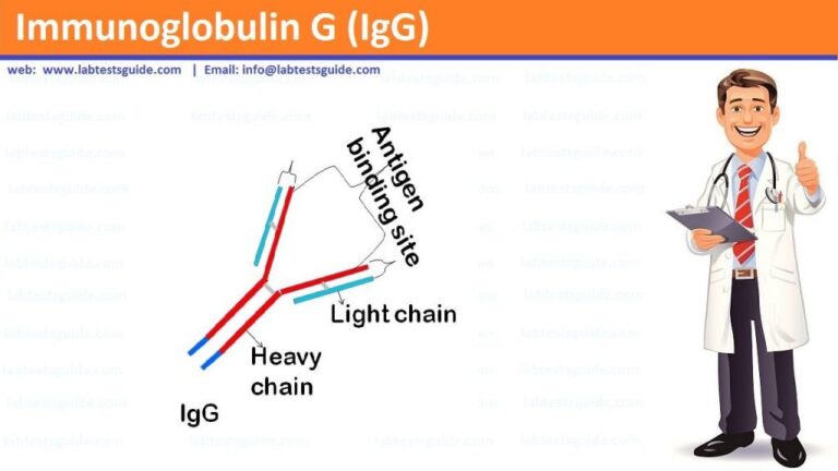 What Does Igg Mean In Texting