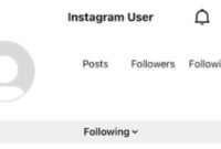 What Does It Mean When It Says Instagram User