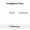 What Does It Mean When It Says Instagram User