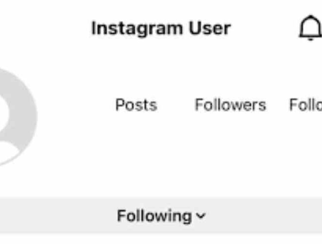 What Does It Mean When It Says Instagram User