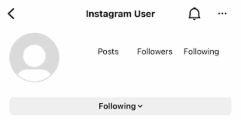 What Does It Mean When It Says Instagram User