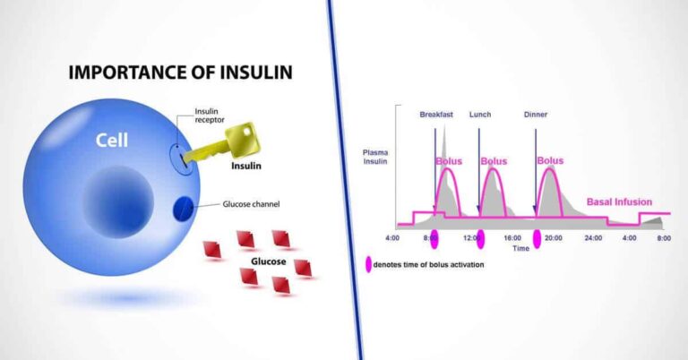What Does Insulin On Board Mean