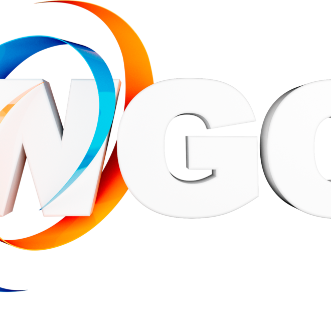 What Does Wgo Mean In Texting