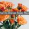 What Does Orange Roses Mean