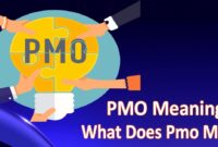 What Does Pmo Mean On Ig