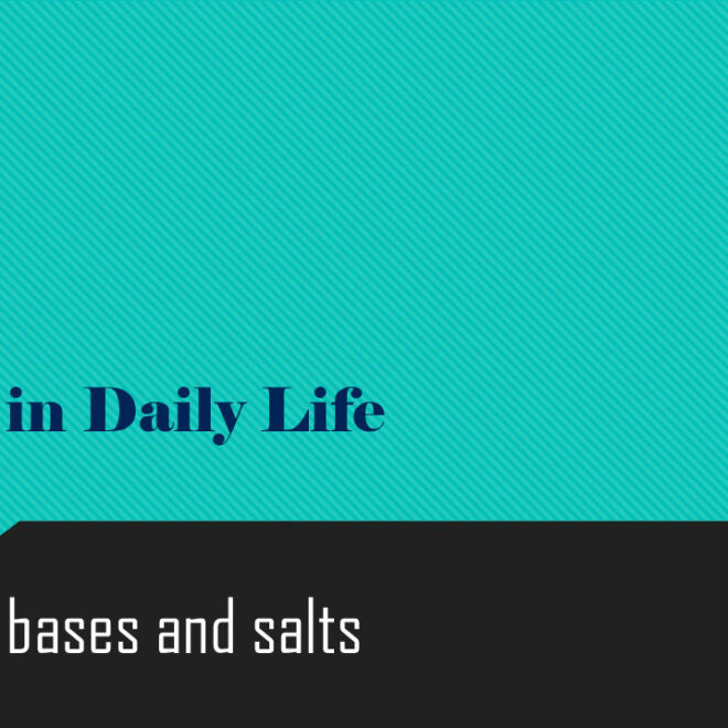 What Does Salt Life Mean