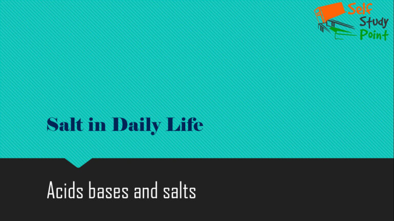What Does Salt Life Mean