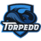 What Does Torpedo Team Name Mean In Sports