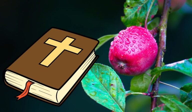 What Does It Mean To Bear Fruit In The Bible