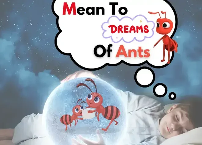 What Does It Mean To Dream Ants