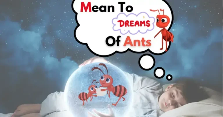 What Does It Mean To Dream Ants