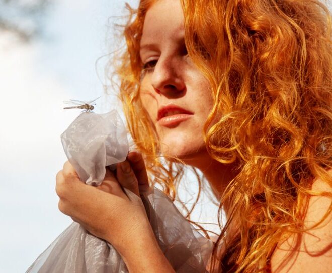 What Does It Mean When A Dragonfly Visits You