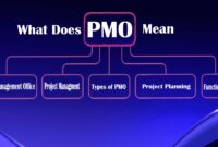 What Does Pmo Mean In Warframe