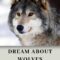 What Does It Mean To Dream About Wolves