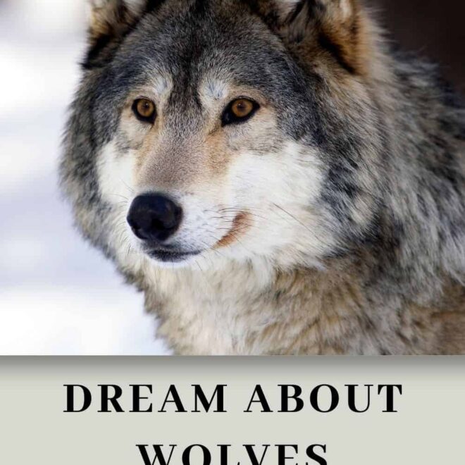 What Does It Mean To Dream About Wolves