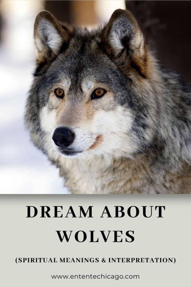What Does It Mean To Dream About Wolves
