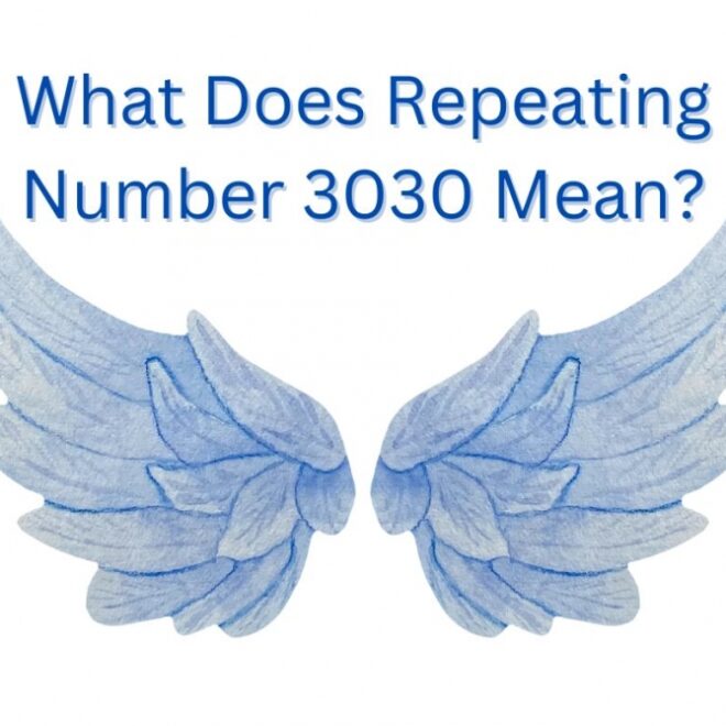 What Does 3030 Mean