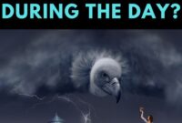 What Does It Mean When You See A Vulture