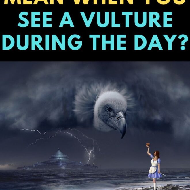 What Does Seeing A Vulture Mean Spiritually