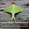 What Does It Mean When You See A Luna Moth