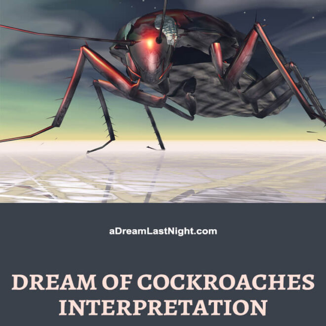 What Does It Mean To Dream About A Cockroach