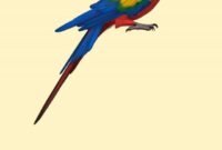 What Does It Mean When U Dream About Birds