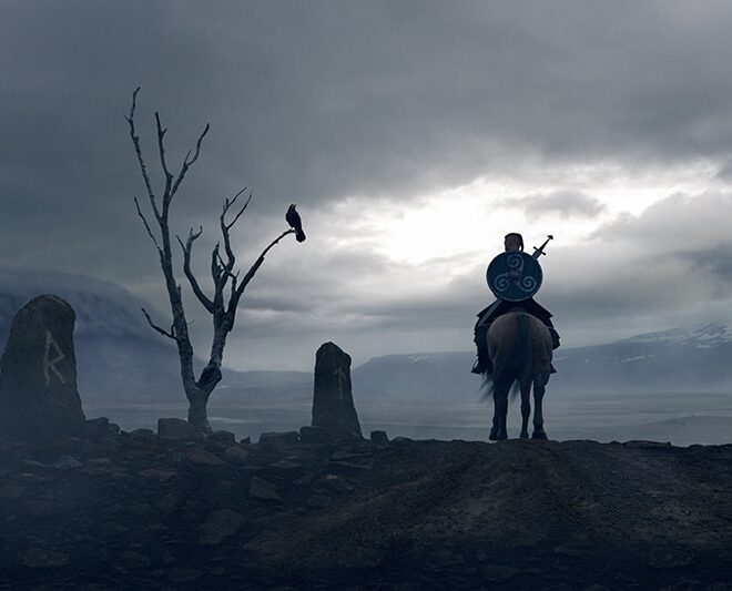 What Does It Mean When A Crow Follows You