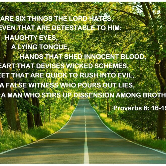 What Does Proverbs 31:10-31 Mean