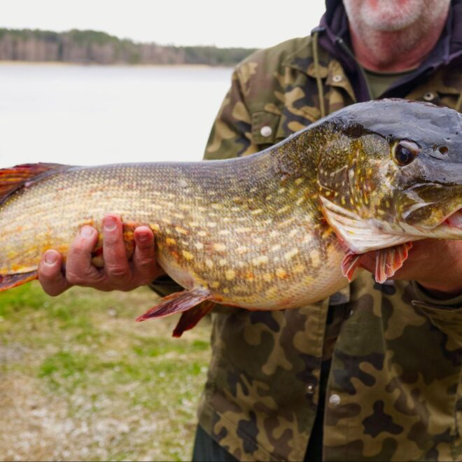 What Does Pb Mean In Fishing