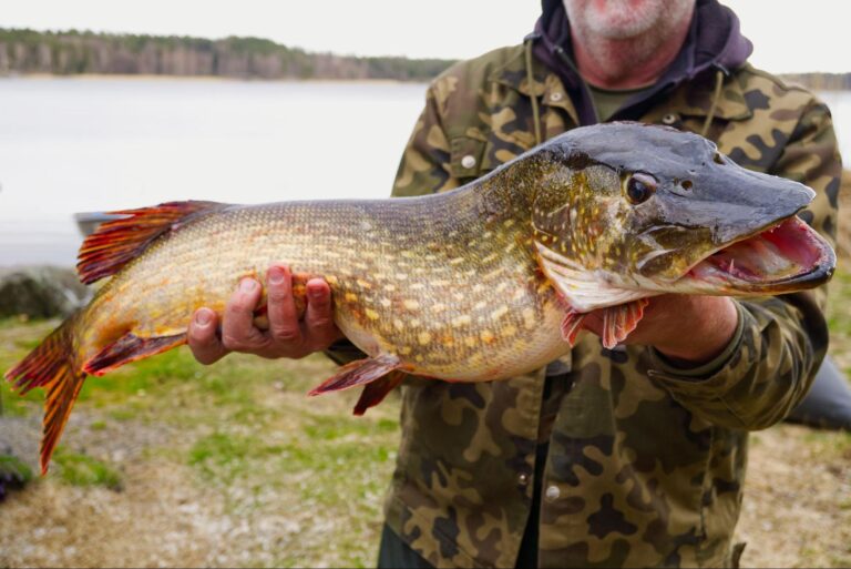What Does Pb Mean In Fishing