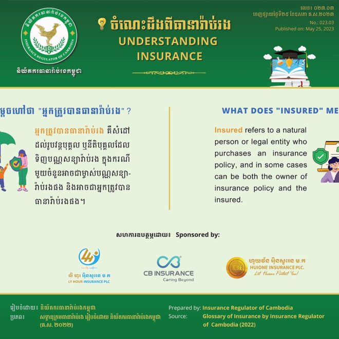 What Does Insured Name Mean