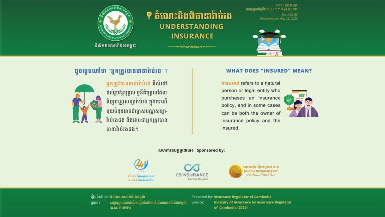 What Does Insured Name Mean